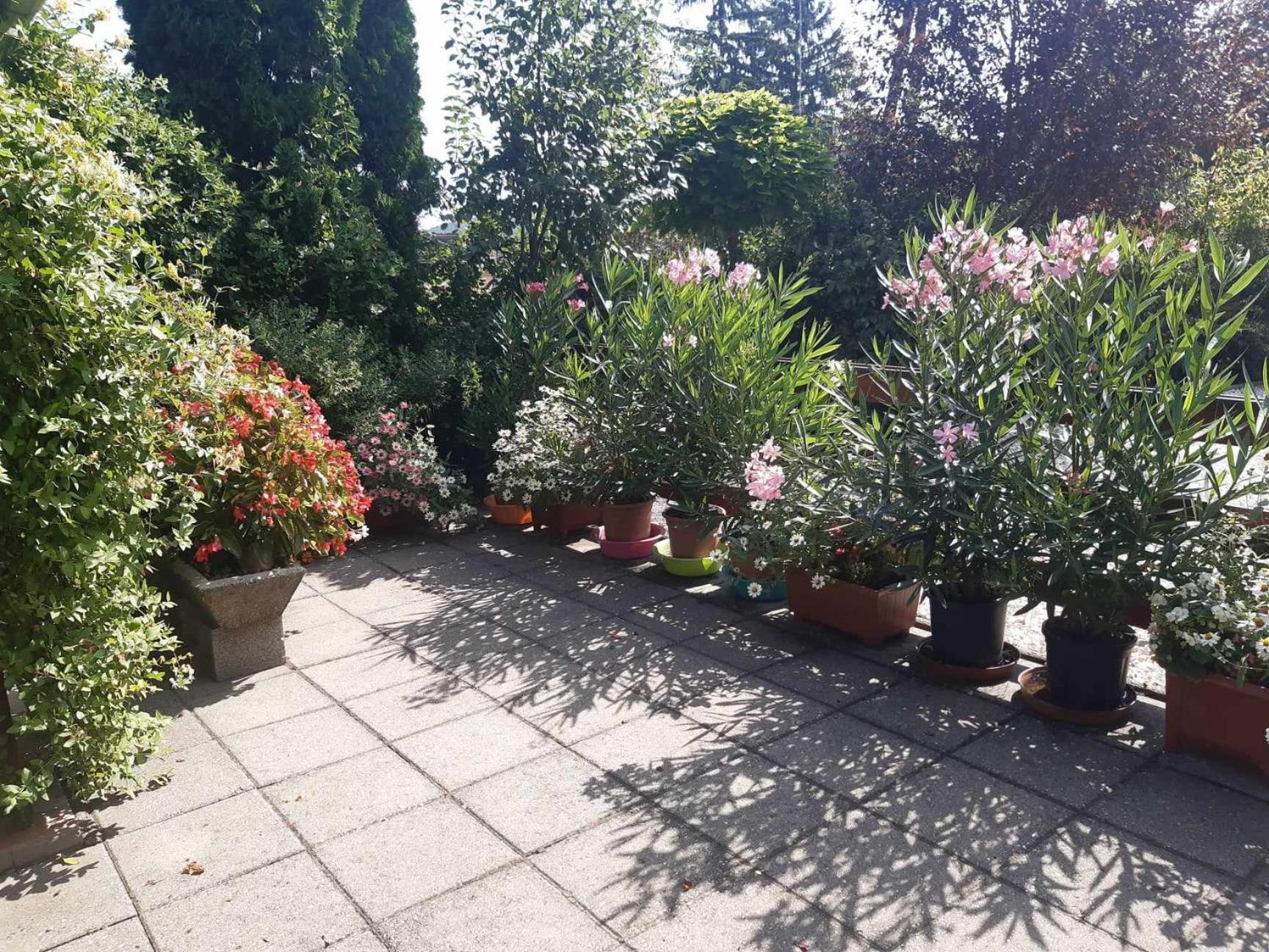 Gyoengyvirag Apartment Romhany Экстерьер фото